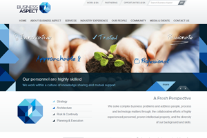 Business Aspect Website home page screenshot