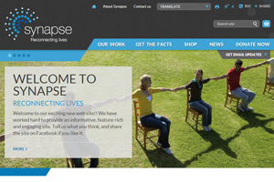 Synapse Website home page screenshot