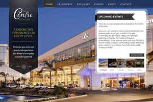 The Centre Website home page screenshot